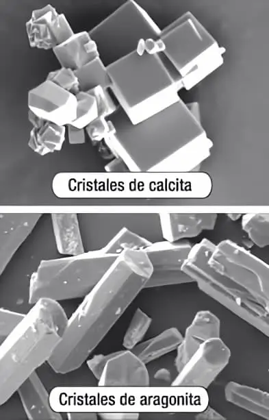 cristales calcita aragonita