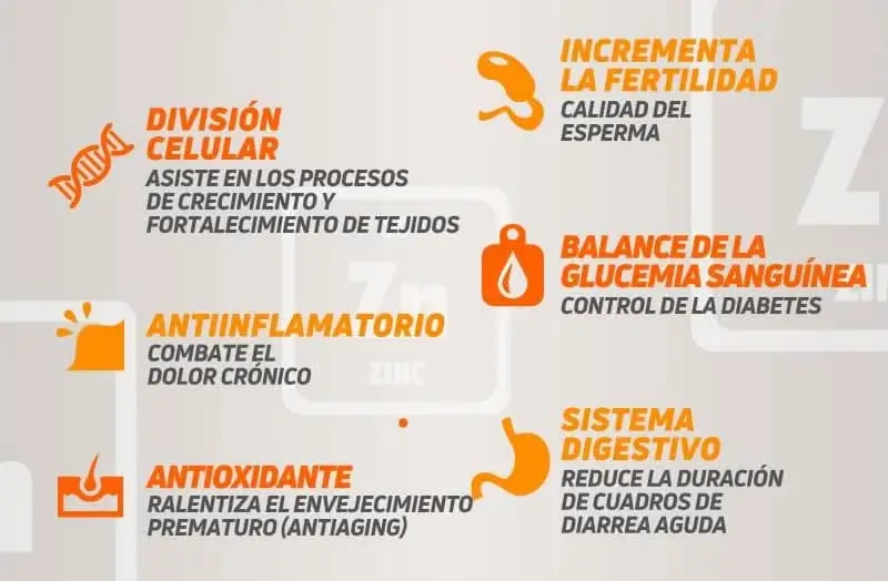 Zinc es beneficioso para la salud