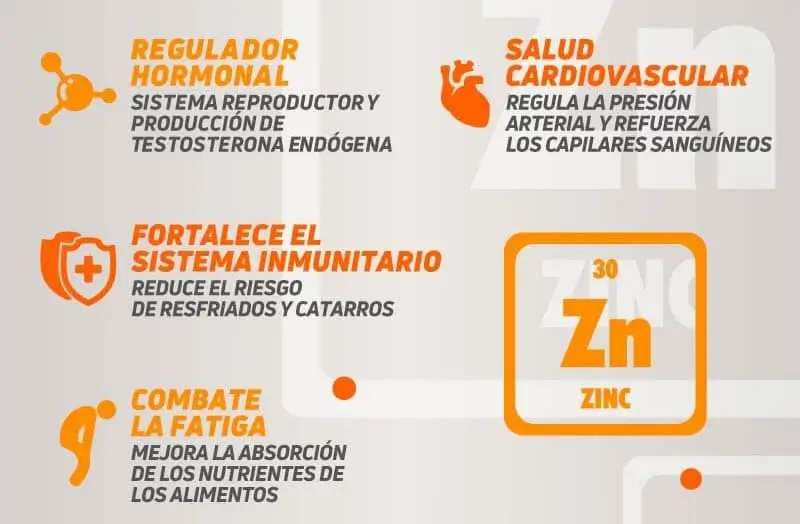 Zinc salud