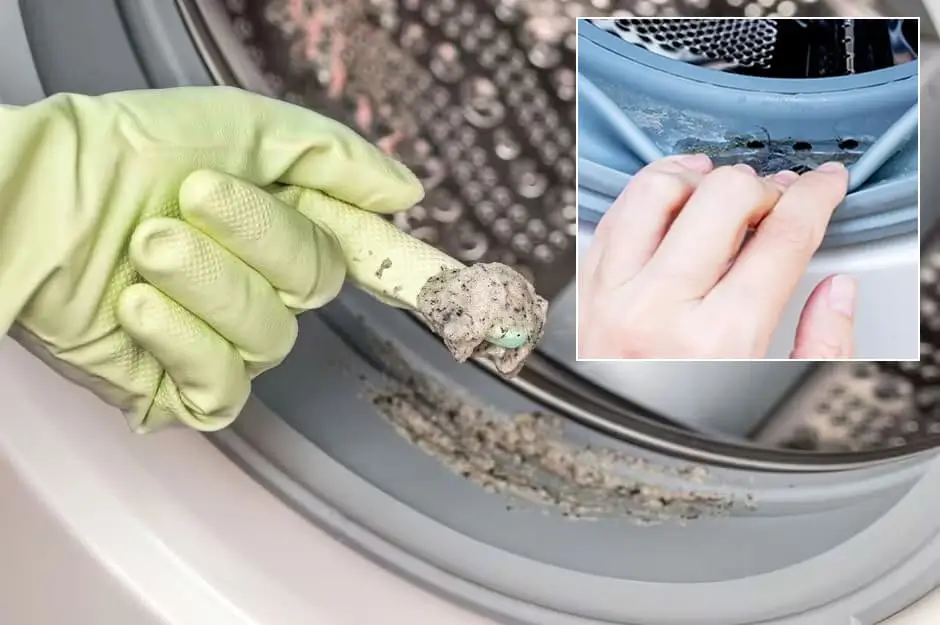Descalcificador para Lavandería
