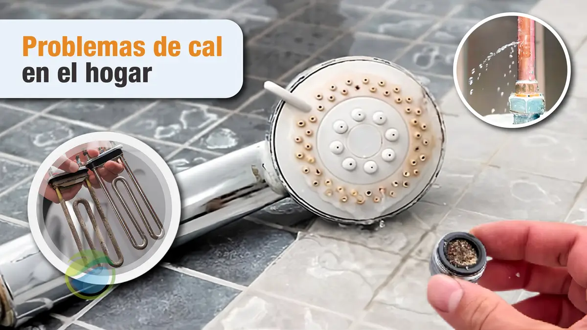 Problemas de cal en el hogar de Llucmajor